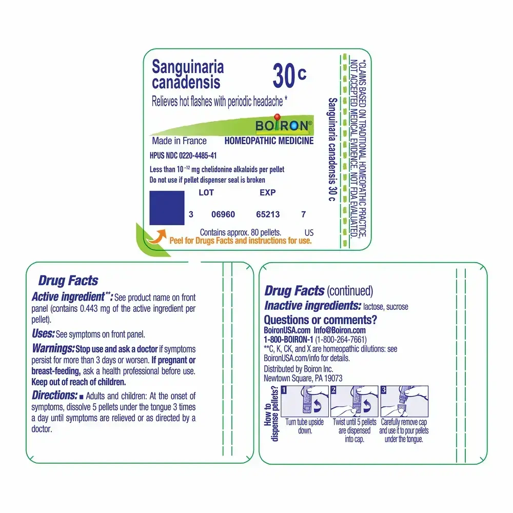 Product image for Sanguinaria Canadensis 30c.