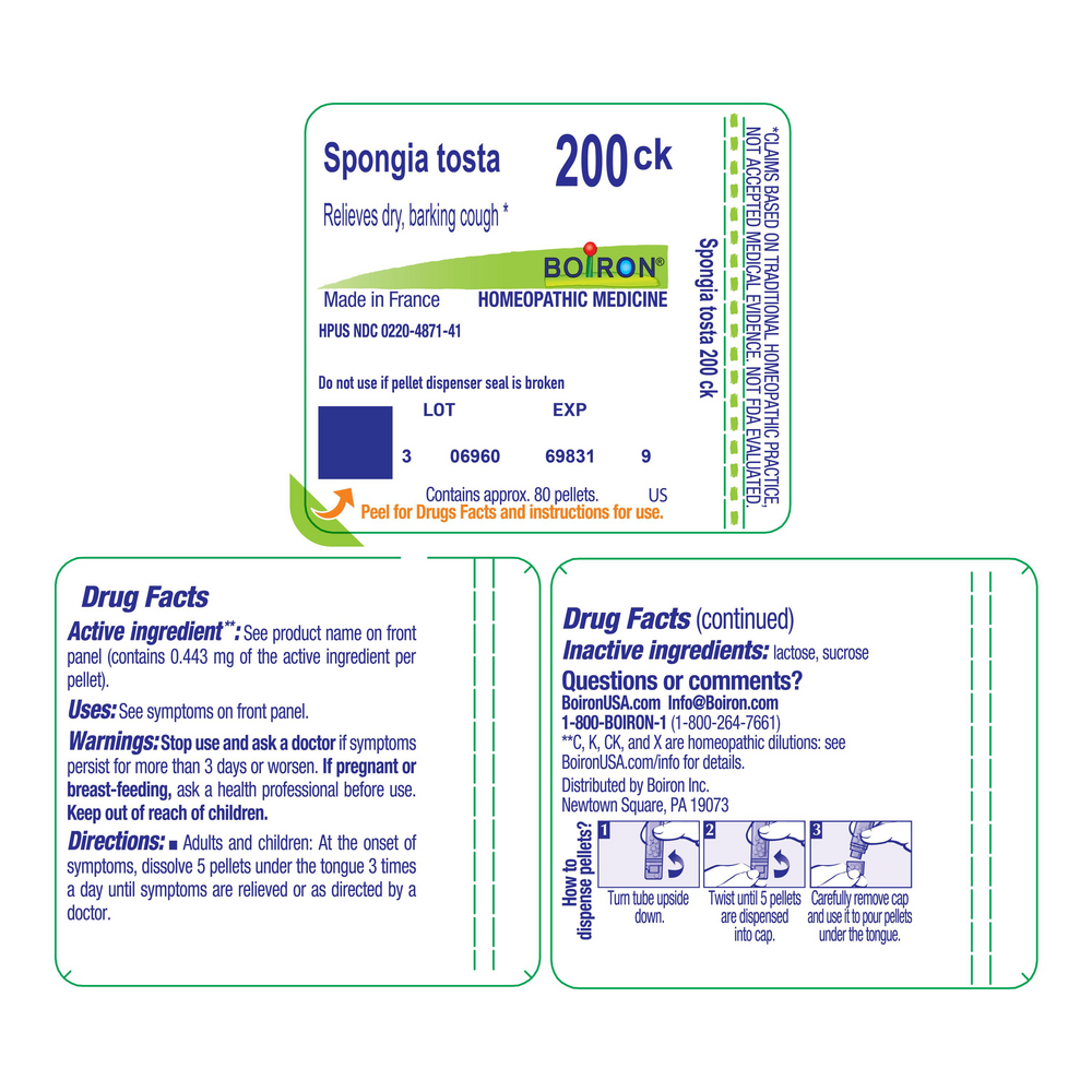 Product image for Spongia Tosta 200ck.