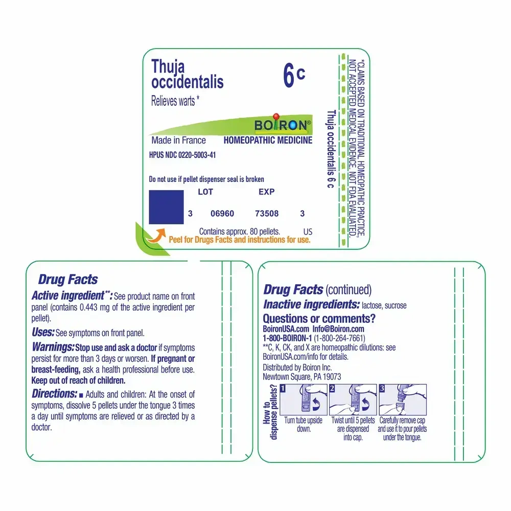 Product image for Thuja Occidentalis 6c.