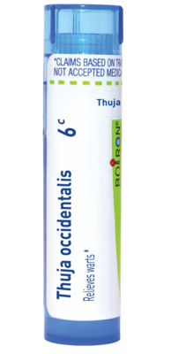 Thuja Occidentalis 6c