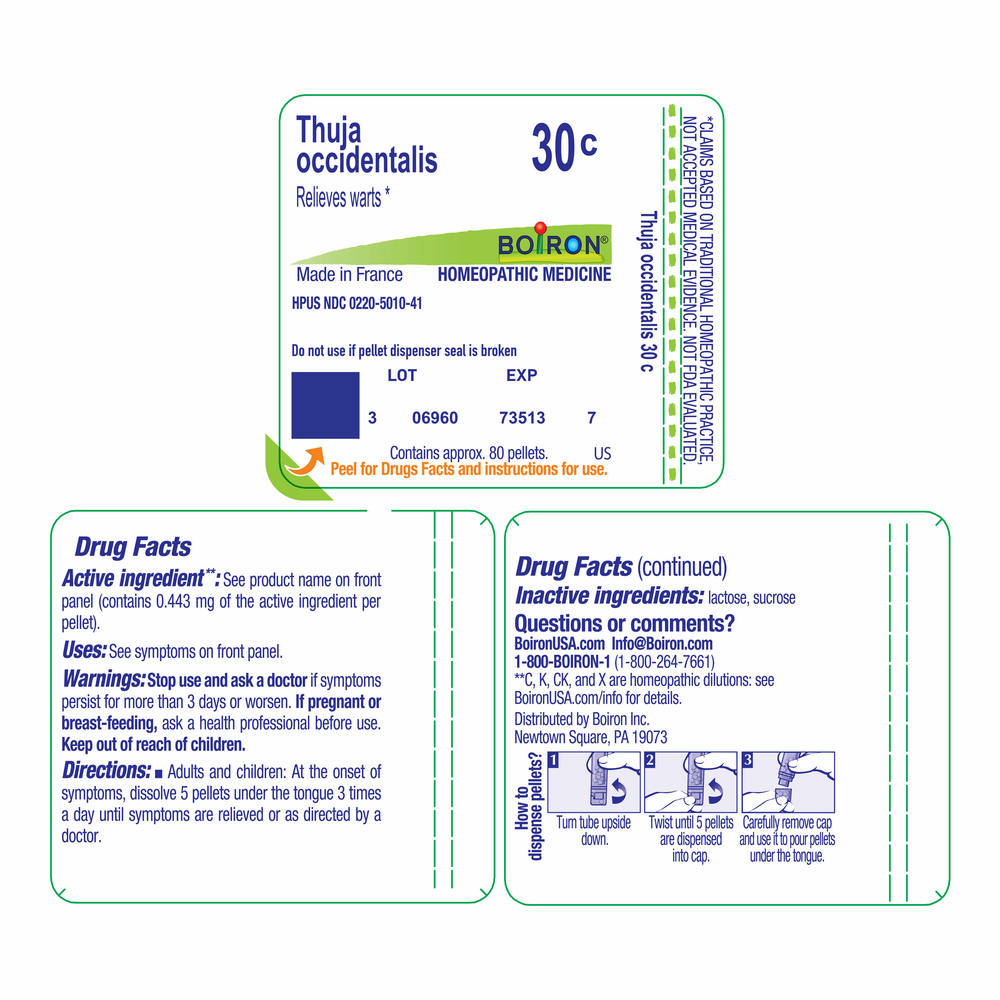 Product image for Thuja Occidentalis 30c.