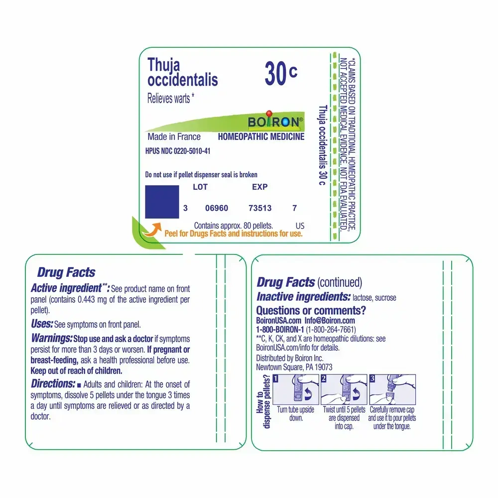 Product image for Thuja Occidentalis 30c.