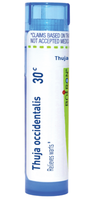 Thuja Occidentalis 30c 80 pellets