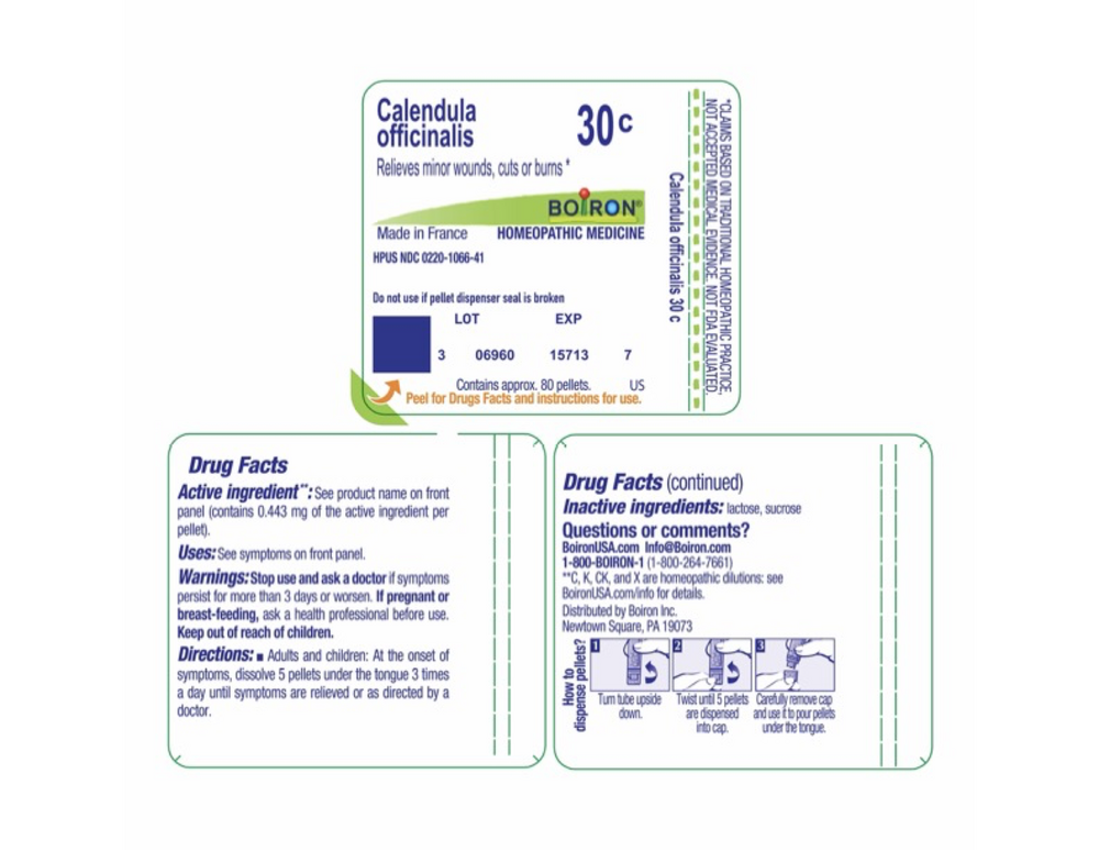 Product image for Calendula Officinalis 30c.