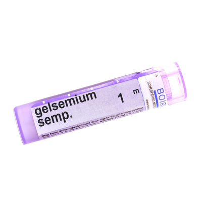 Gelsemium Sempervirens 1m product image