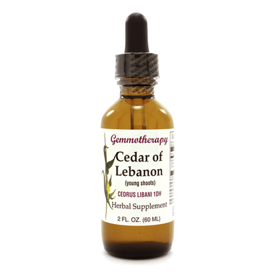 Cedar of Lebanon/Cedrus Libani 2 ounces