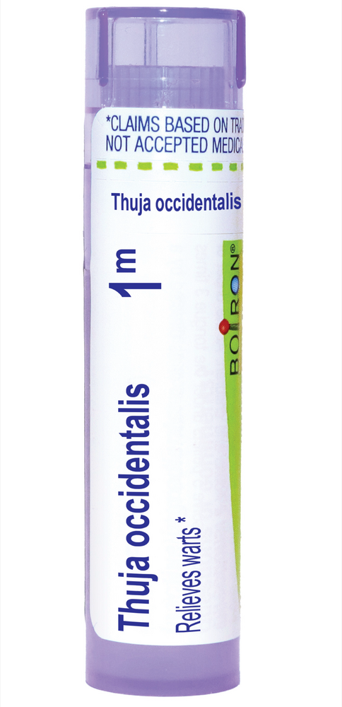 Product image for Thuja Occidentalis 1m.