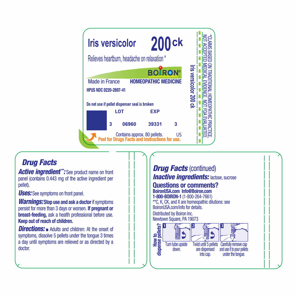 Product image for Iris Versicolor 200ck.
