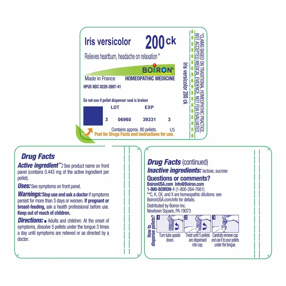 Product image for Iris Versicolor 200ck.