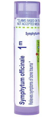 Symphytum Officinale 1m