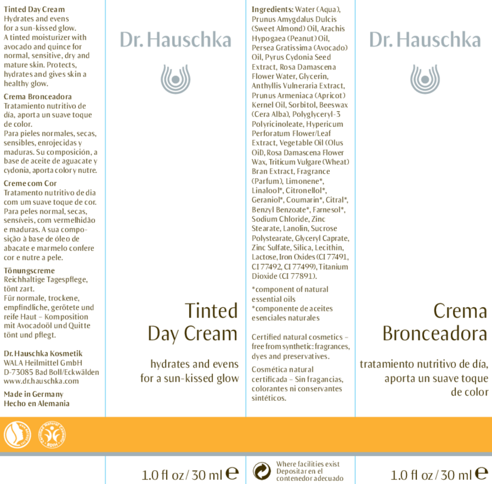 Product image for Tinted Day Cream.