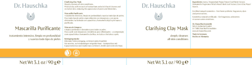 Product image for Clarifying Clay Mask.