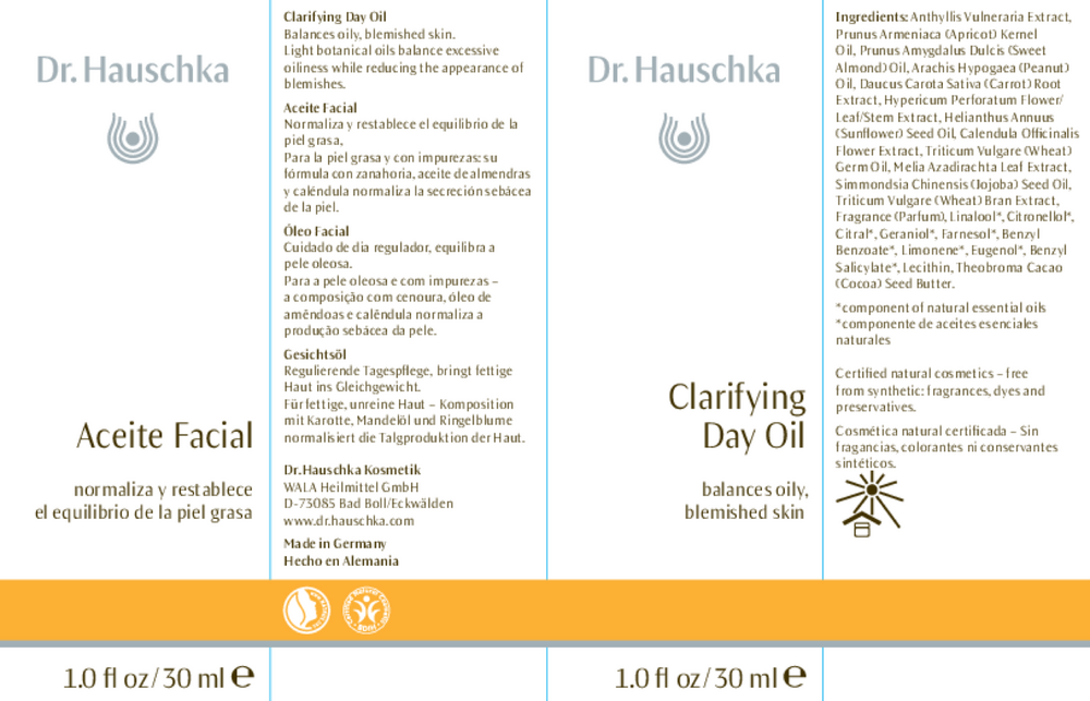 Product image for Clarifying Day Oil.