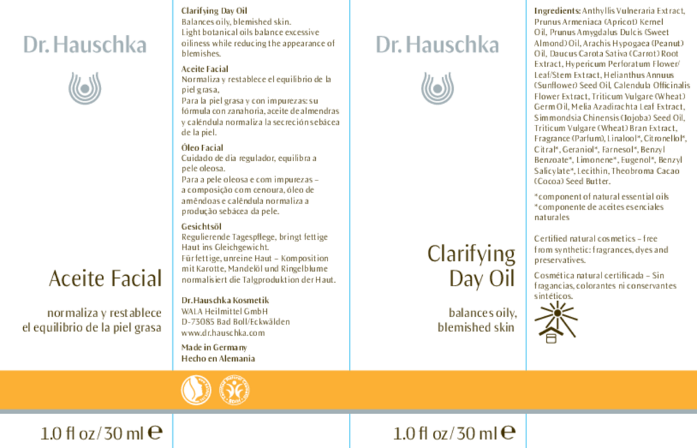 Product image for Clarifying Day Oil.