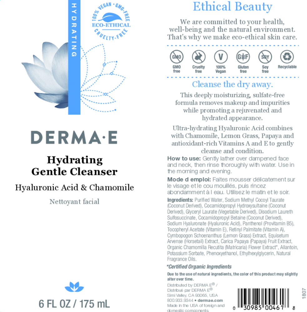 Product image for Hydrating Gentle Cleanser.