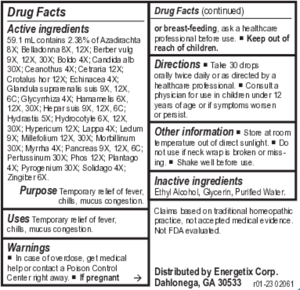 Product image for Bacteria-Chord.