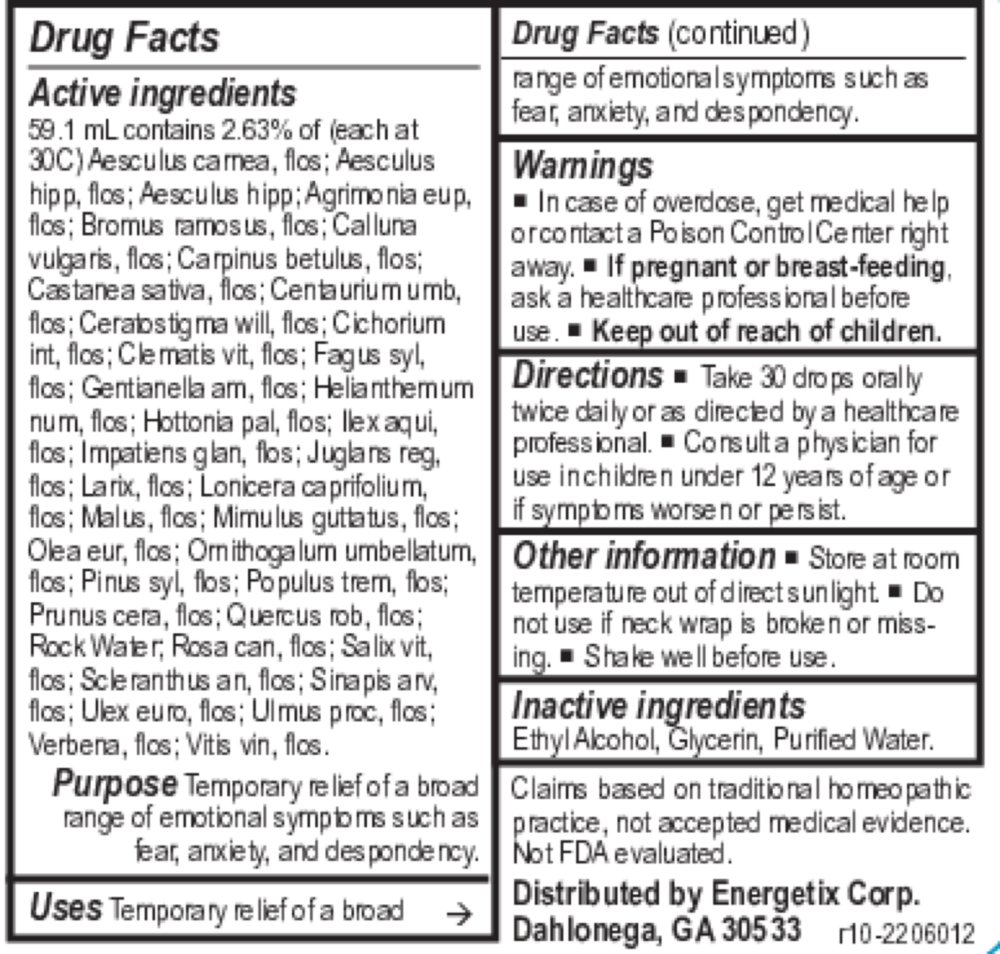Product image for Fields of Flowers.