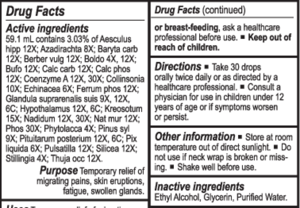 Product image for Lymph-Tone II.