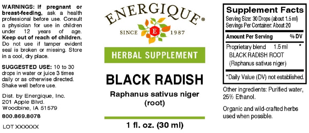 Product image for Black Radish.