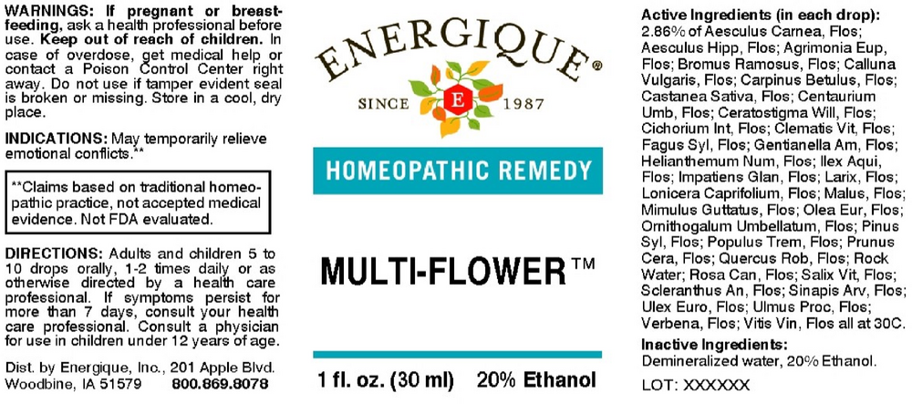 Product image for Multi-Flower.