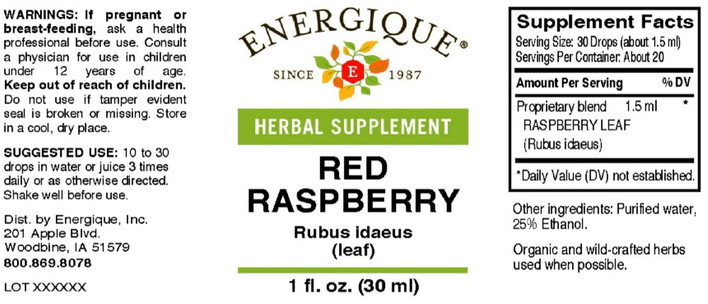 Product image for Red Raspberry.