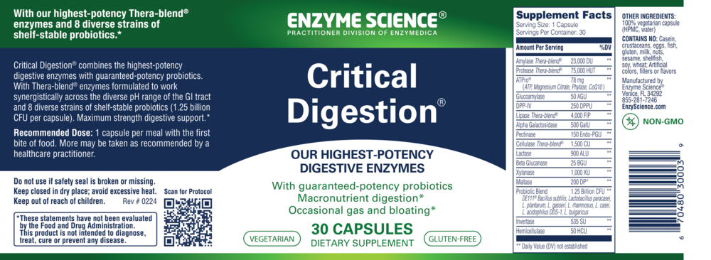 Product image for Critical Digestion.