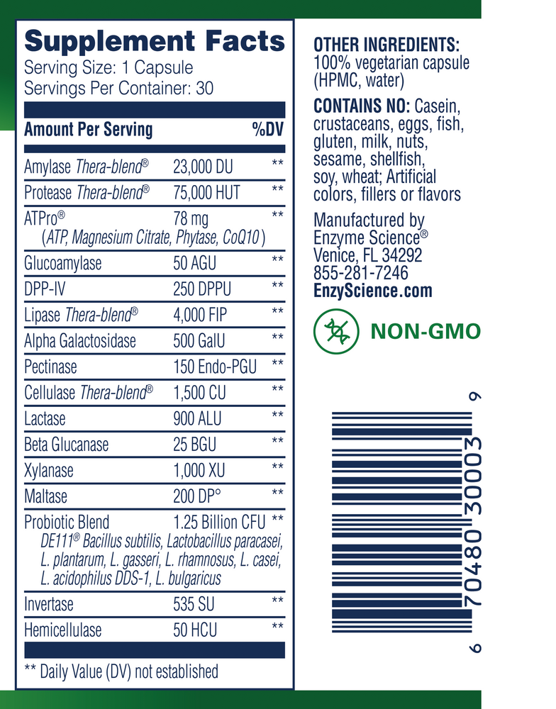 Product image for Critical Digestion.