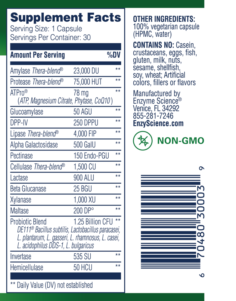 Product image for Critical Digestion.