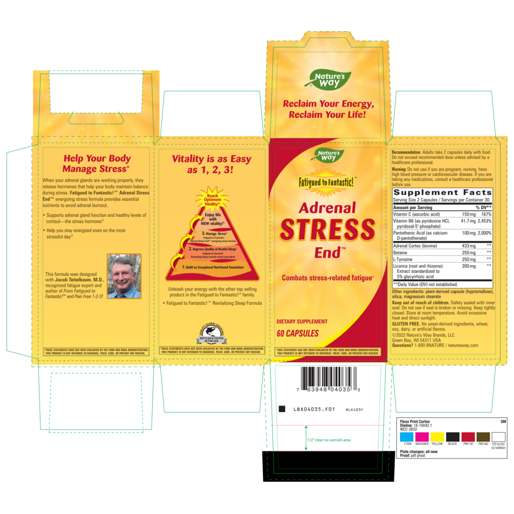 Product image for Fatigued to Fantastic! Adrenal Stress End.