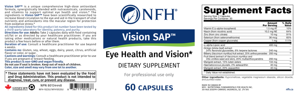 Product image for Vision SAP.