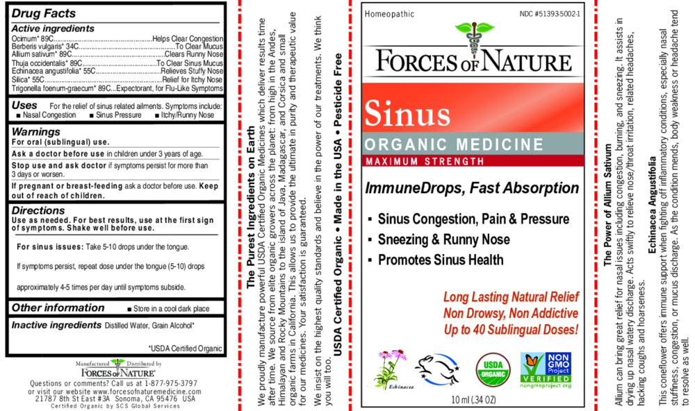 Product image for Sinus Maximum Strength Organic.