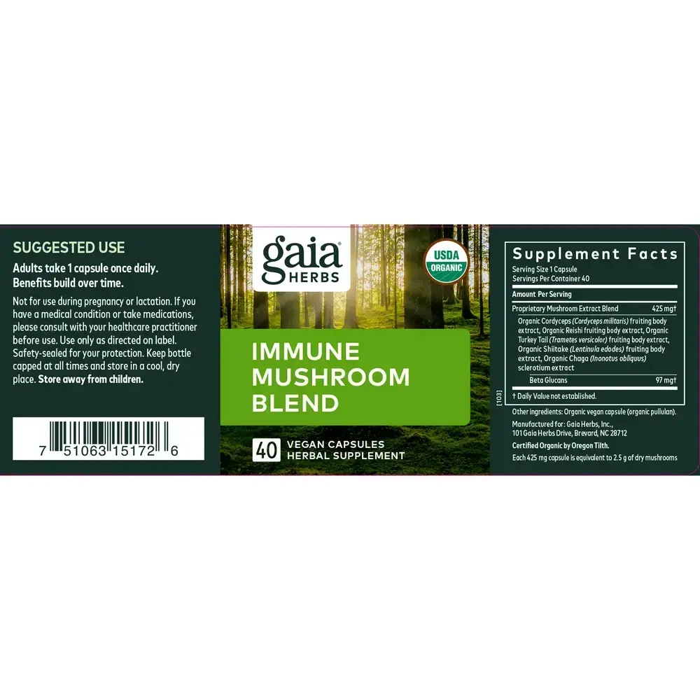 Product image for Everyday Mushrooms.