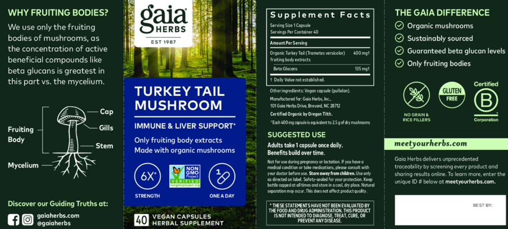 Product image for Turkey Tail Mushroom Capsules.