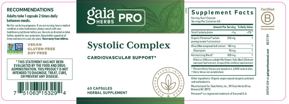 Product image for Systolic Complex.