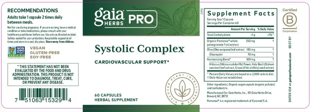 Product image for Systolic Complex.