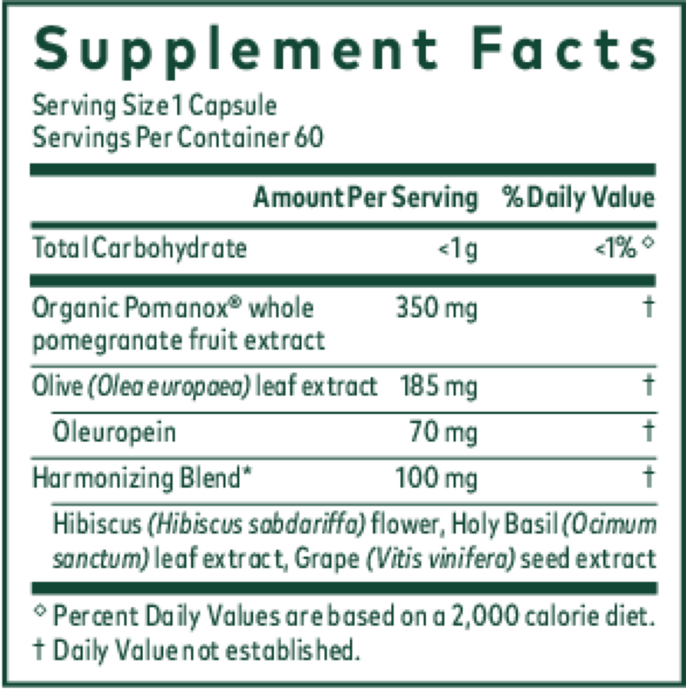 Product image for Systolic Complex.