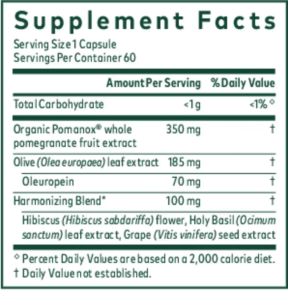 Product image for Systolic Complex.