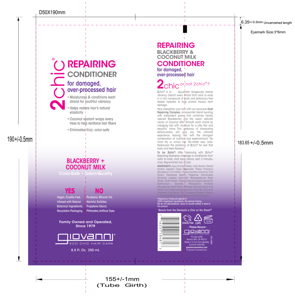 Product image for 2chic Ultra-Repair Conditioner.