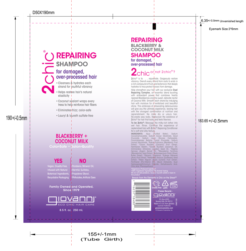 Product image for 2chic Ultra-Repair Shampoo.