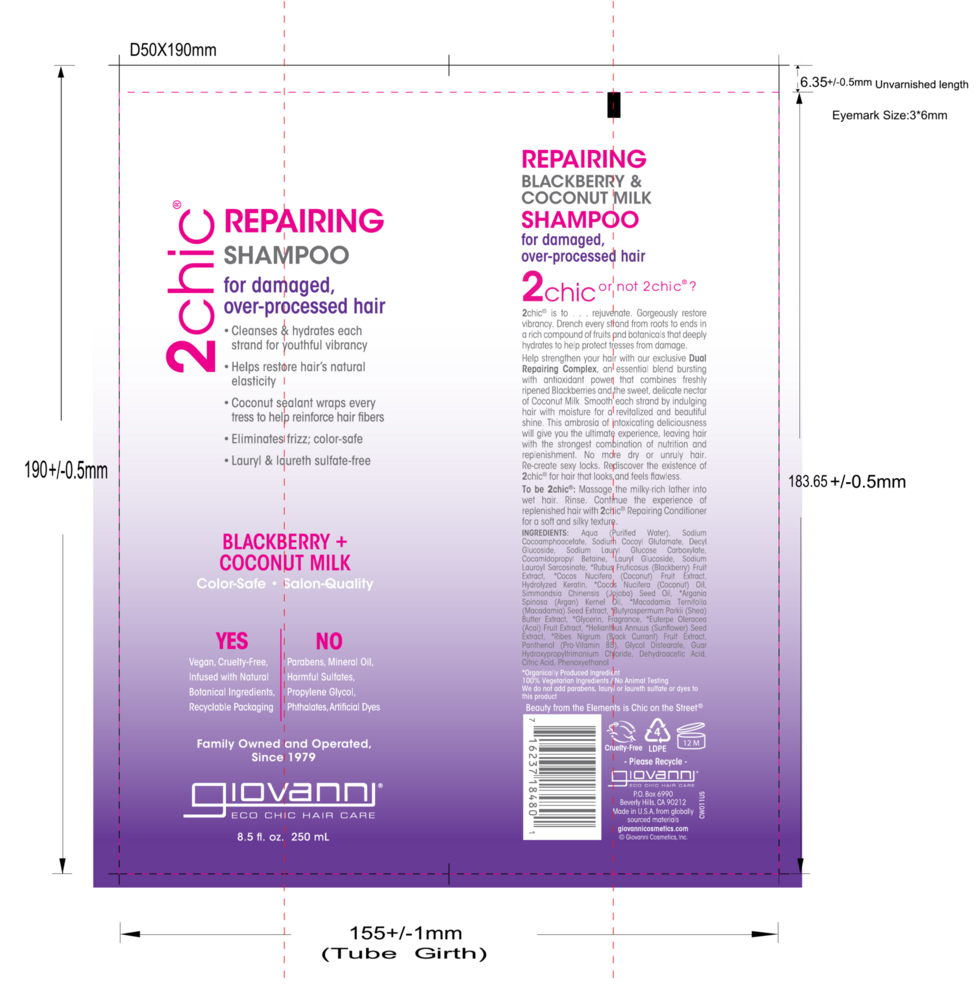 Product image for 2chic Ultra-Repair Shampoo.