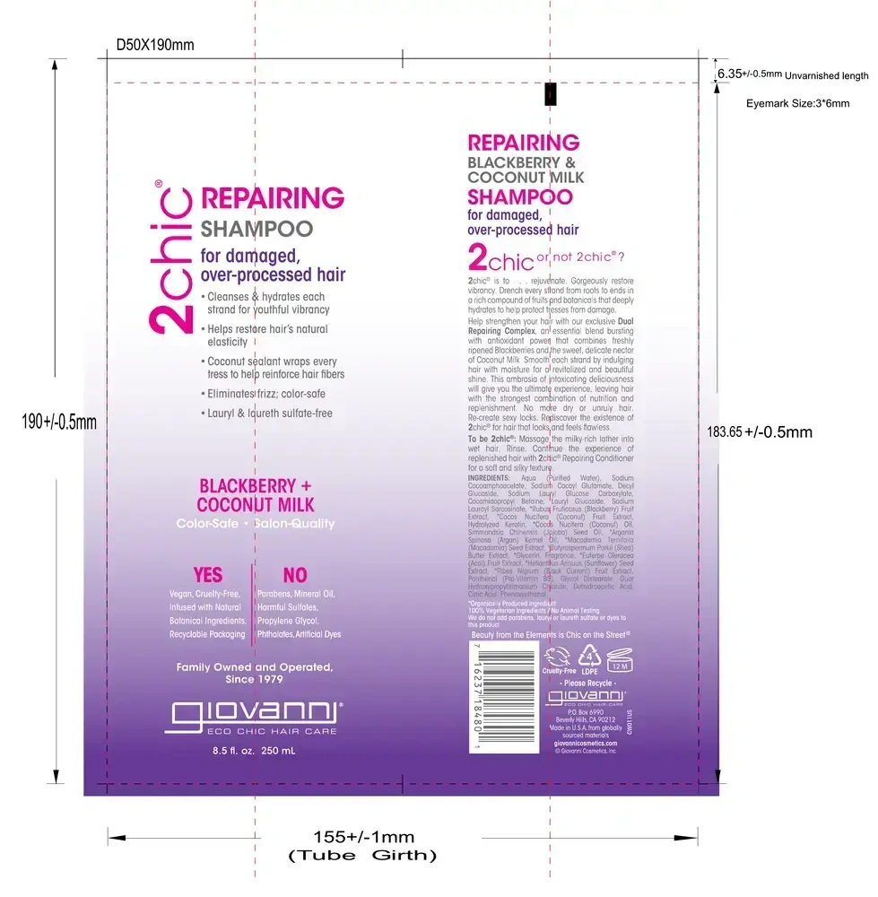 Product image for 2chic Ultra-Repair Shampoo.