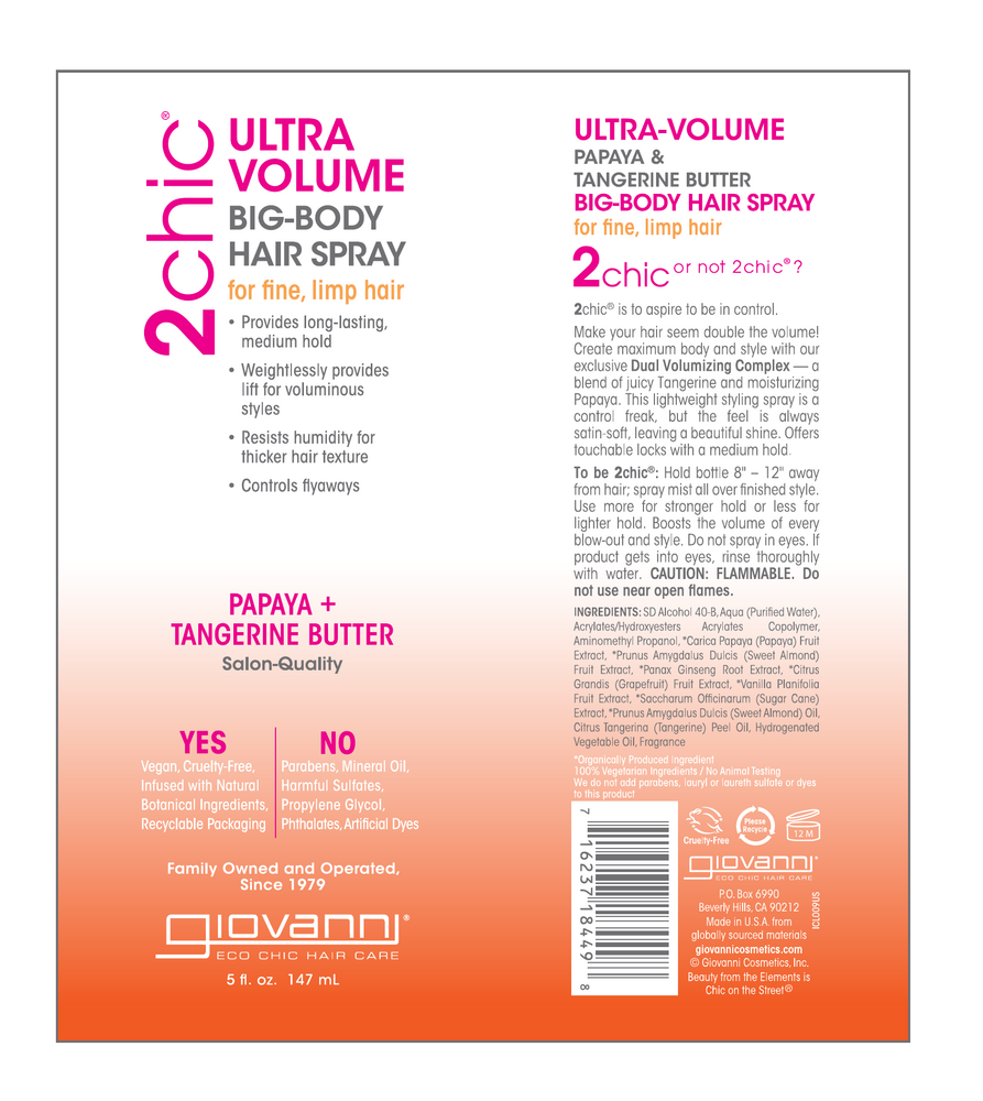 Product image for 2chic® Ultra-Volume Body Hair Spray.