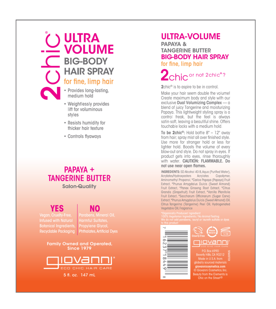 Product image for 2chic® Ultra-Volume Body Hair Spray.