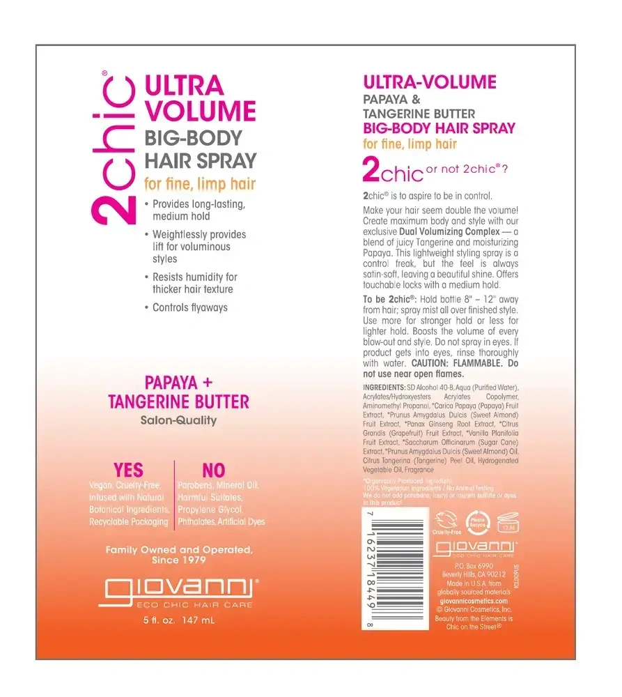 Product image for 2chic® Ultra-Volume Body Hair Spray.