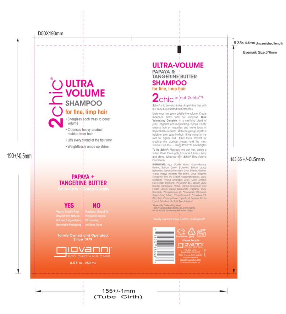 Product image for 2chic® Ultra-Volume Shampoo.