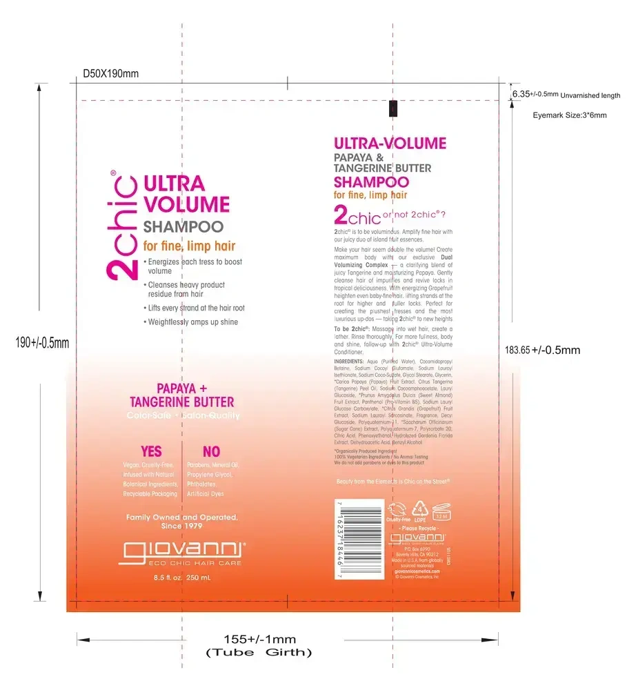 Product image for 2chic® Ultra-Volume Shampoo.