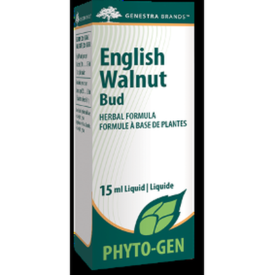English Walnut Bud product image