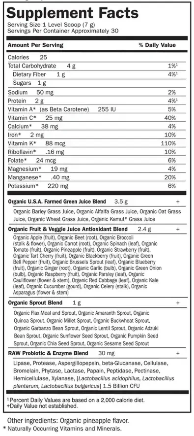 Product image for Raw Organic Perfect Food Green Superfood Juiced Greens Powder.