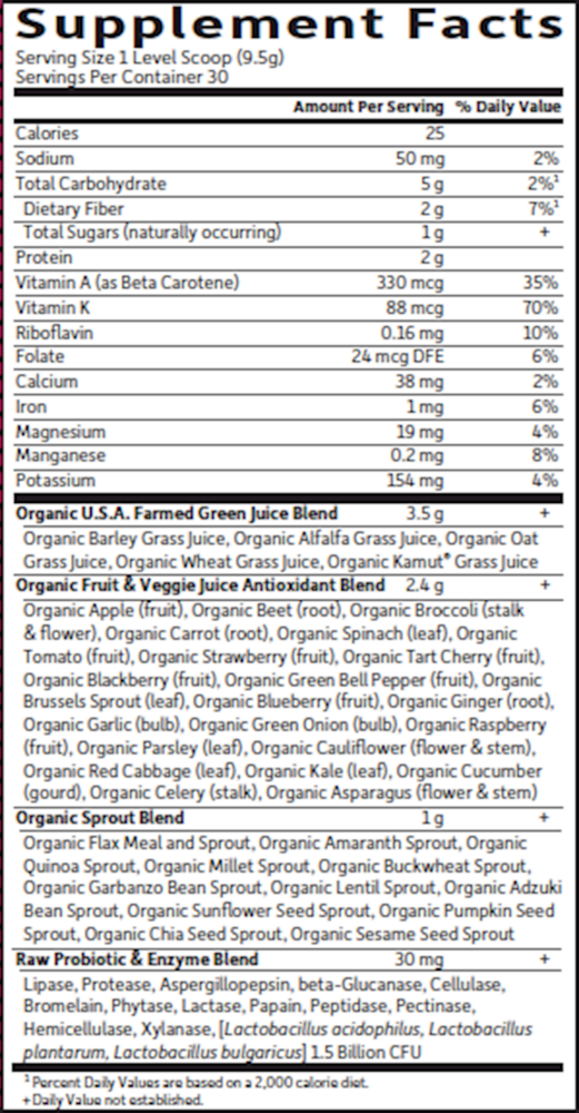 Product image for Raw Organic Perfect Food® Green Superfood Powder 285g - Chocolate.