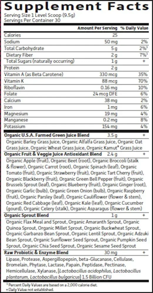 Product image for Raw Organic Perfect Food® Green Superfood Powder 285g - Chocolate.